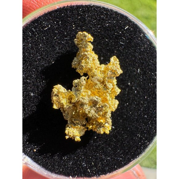 California Native Gold Crystal - 1.18 grams - Picture 4 of 5